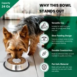 Iconic Pet Slow Feed Stainless Steel Dog & Cat Bowl, 2 Count 9 Iconic Pet Slow Feed Stainless Steel Dog & Cat Bowl, 2 Count -PetSafe Shop Sale 652158 PT3. AC SS1800 V1663880906