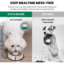 Iconic Pet Slow Feed Stainless Steel Dog & Cat Bowl, 2 Count 10 Iconic Pet Slow Feed Stainless Steel Dog & Cat Bowl, 2 Count -PetSafe Shop Sale 652158 PT4. AC SS1800 V1663881087