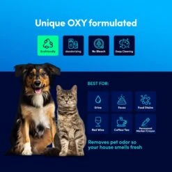 Hygena Scoop Fresh Carpet & Upholstery Cleaner Stain Odor Spot Remover Dog, Cat, Horse & Small Pet Deodorizer, 32-oz Bottle -PetSafe Shop Sale 654030 PT2. AC SS1800 V1664894455