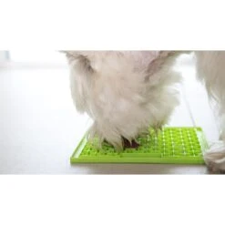 LickiMat Classic Buddy Slow Feeder Dog Lick Mat, Green -PetSafe Shop Sale 654606 PT3. AC SS1800 V1668456890