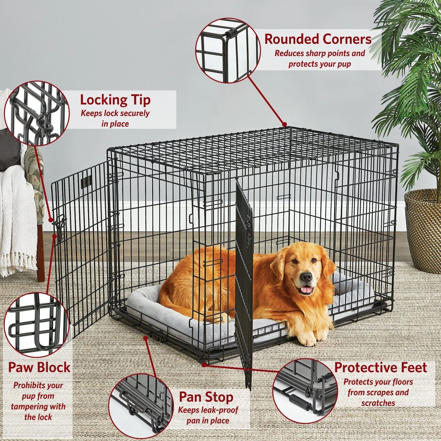 MidWest LifeStages Double Door Collapsible Wire Dog Crate 2 MidWest LifeStages Double Door Collapsible Wire Dog Crate - Image 2