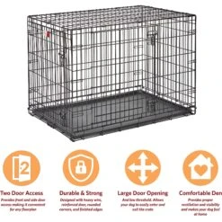 MidWest LifeStages Double Door Collapsible Wire Dog Crate 15 MidWest LifeStages Double Door Collapsible Wire Dog Crate -PetSafe Shop Sale 66304 PT6. AC SS1800 V1647555091