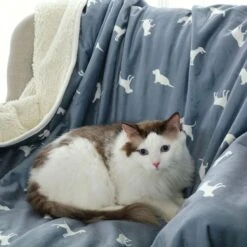 HappyCare Textiles Advanced Pets Print Cozy Waterproof Cat & Dog Blanket -PetSafe Shop Sale 666174 PT4. AC SS1800 V1667517854