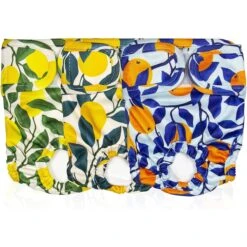 Pet Magasin Washable Female Dog Diapers, Botanical Fruit, 3 Count
