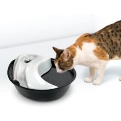 Pioneer Pet Plastic Dog & Cat Fountain Raindrop Design, 60-oz 9 Pioneer Pet Plastic Dog & Cat Fountain Raindrop Design, 60-oz -PetSafe Shop Sale 66968 PT2. AC SS1800 V1598655411