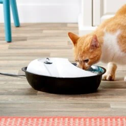 Pioneer Pet Plastic Dog & Cat Fountain Raindrop Design, 60-oz 10 Pioneer Pet Plastic Dog & Cat Fountain Raindrop Design, 60-oz -PetSafe Shop Sale 66968 PT3. AC SS1800 V1539379059