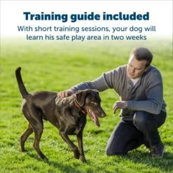 PetSafe Stubborn Dog Stay+Play Wireless Fence Receiver Collar -PetSafe Shop Sale 67058 PT3. AC SS1800 V1685727310