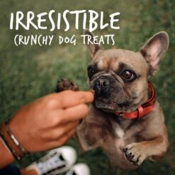 OUT! Disposable Male Dog Wraps & Fruitables Crispy Bacon & Apple Flavor Dog Treats -PetSafe Shop Sale 678198 PT8. AC SS1800 V1667597512