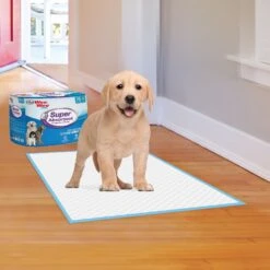 Four Paws Wee-Wee Super Absorbent Dog Pads & Cadet Gourmet Beef Hide & Duck Twist Sticks Dog Treats, 5-in -PetSafe Shop Sale 678430 PT3. AC SS1800 V1667864457