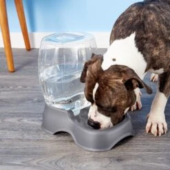 Petmate Pearl Pet Cafe Waterer -PetSafe Shop Sale 68452 PT8. AC SS1800 V1540309962