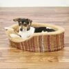 Petmate Antimicrobial Deluxe Bolster Cat & Dog Bed With Removable Cover, Color Varies
