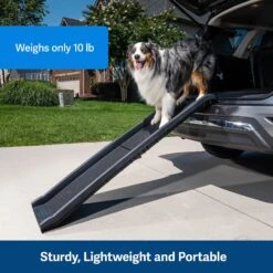 PetSafe Happy Ride Foldable Dog Car Ramp 13 PetSafe Happy Ride Foldable Dog Car Ramp -PetSafe Shop Sale 68759 PT4. AC SS1800 V1646089586