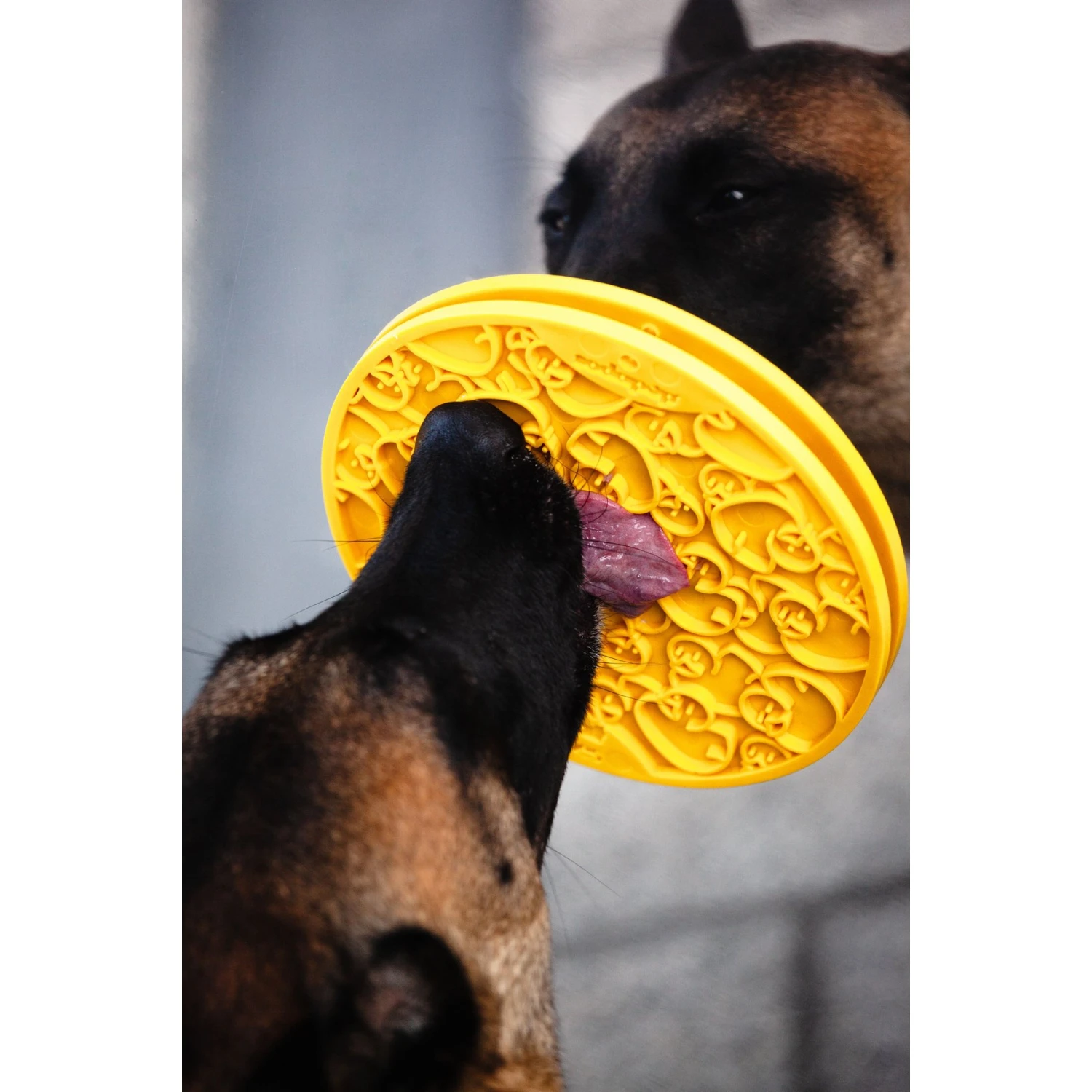 SodaPup Duckies Dog Lick Mat, Yellow, Large 4 SodaPup Duckies Dog Lick Mat, Yellow, Large - Image 4