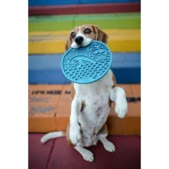 SodaPup Whale Dog Lick Mat, Blue, Large -PetSafe Shop Sale 690542 PT2. AC SS1800 V1667519309
