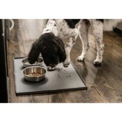 Leashboss Splash Tall Lip Dog Food Mat -PetSafe Shop Sale 694926 PT8. AC SS1800 V1669908004