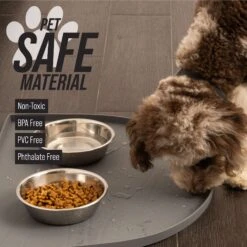 Leashboss Silicone Water Fountain Mat -PetSafe Shop Sale 694990 PT2. AC SS1800 V1682515733