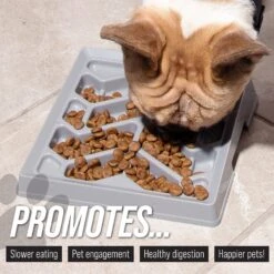 Leashboss Flat Face Slow Feeder Dog Bowl, Small/Medium 12 Leashboss Flat Face Slow Feeder Dog Bowl, Small/Medium -PetSafe Shop Sale 695078 PT3. AC SS1800 V1701379397