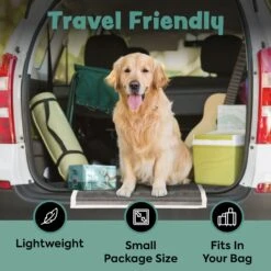 Bark & Clean Premium Activated Charcoal Traveller's Dog Potty Pad -PetSafe Shop Sale 695822 PT4. AC SS1800 V1667518822