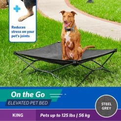 Coolaroo On The Go Elevated Cat & Dog Bed With Removable Cover 9 Coolaroo On The Go Elevated Cat & Dog Bed With Removable Cover -PetSafe Shop Sale 696990 PT2. AC SS1800 V1667863730