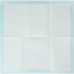 ARM & HAMMER PRODUCTS Dog Pads, 10 Count -PetSafe Shop Sale 700454 PT3. AC SS1800 V1670450091