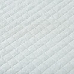 ARM & HAMMER PRODUCTS Dog Pads, 10 Count -PetSafe Shop Sale 700454 PT5. AC SS1800 V1670516847