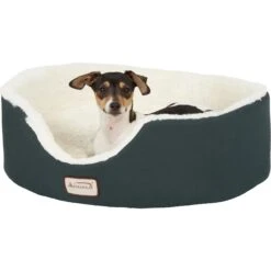 Armarkat Oval Bolster Cat & Dog Bed, Laurel Green/Ivory -PetSafe Shop Sale 70076 PT3. AC SS1800 V1566245280