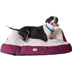 Armarkat Dog Pillow Bed With Removable Cover, Burgundy/Ivory 11 Armarkat Dog Pillow Bed With Removable Cover, Burgundy/Ivory -PetSafe Shop Sale 70147 PT2. AC SS1800 V1628110292