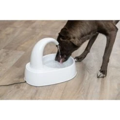 TRIXIE Curved Stream Cat & Dog Water Fountain, White, 84.5-oz -PetSafe Shop Sale 701774 PT2. AC SS1800 V1688752030