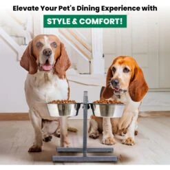 Iconic Pet Adjustable Stainless Steel Elevated Dog Bowl, H Design -PetSafe Shop Sale 701886 PT5. AC SS1800 V1668110985