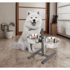 Iconic Pet Adjustable Stainless Steel Elevated Dog Bowl, H Design -PetSafe Shop Sale 701886 PT6. AC SS1800 V1668110956