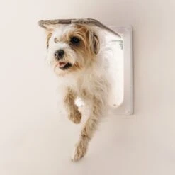 Closer Pets 4-Way Locking With Magnetic Catch Cat & Dog Door 12 Closer Pets 4-Way Locking With Magnetic Catch Cat & Dog Door -PetSafe Shop Sale 704158 PT3. AC SS1800 V1671650096