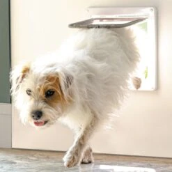 Closer Pets 4-Way Locking With Magnetic Catch Cat & Dog Door 13 Closer Pets 4-Way Locking With Magnetic Catch Cat & Dog Door -PetSafe Shop Sale 704158 PT4. AC SS1800 V1671647268