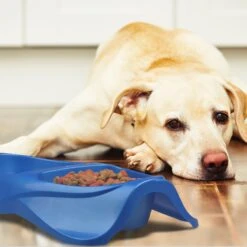 Van Ness Lightweight Double Plastic Dog & Cat Dish 8 Van Ness Lightweight Double Plastic Dog & Cat Dish -PetSafe Shop Sale 70458 PT2. AC SS1800 V1628558778