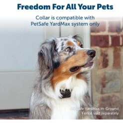 PetSafe YardMax Extra Receiver Collar For In-Ground Fence System 8 PetSafe YardMax Extra Receiver Collar For In-Ground Fence System -PetSafe Shop Sale 70918 PT2. AC SS1800 V1685631267