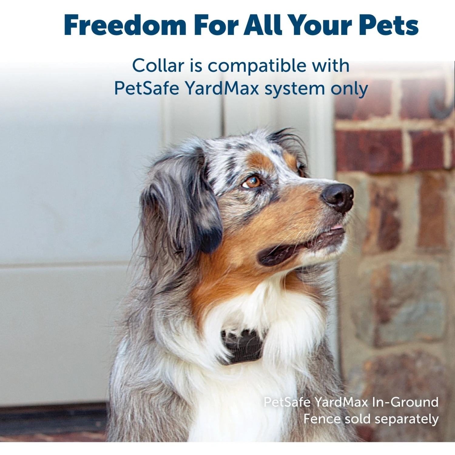 PetSafe YardMax Extra Receiver Collar For In-Ground Fence System 3 PetSafe YardMax Extra Receiver Collar For In-Ground Fence System - Image 3