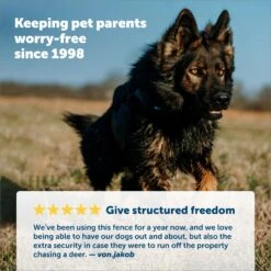 PetSafe YardMax Extra Receiver Collar For In-Ground Fence System 9 PetSafe YardMax Extra Receiver Collar For In-Ground Fence System -PetSafe Shop Sale 70918 PT3. AC SS1800 V1685629555