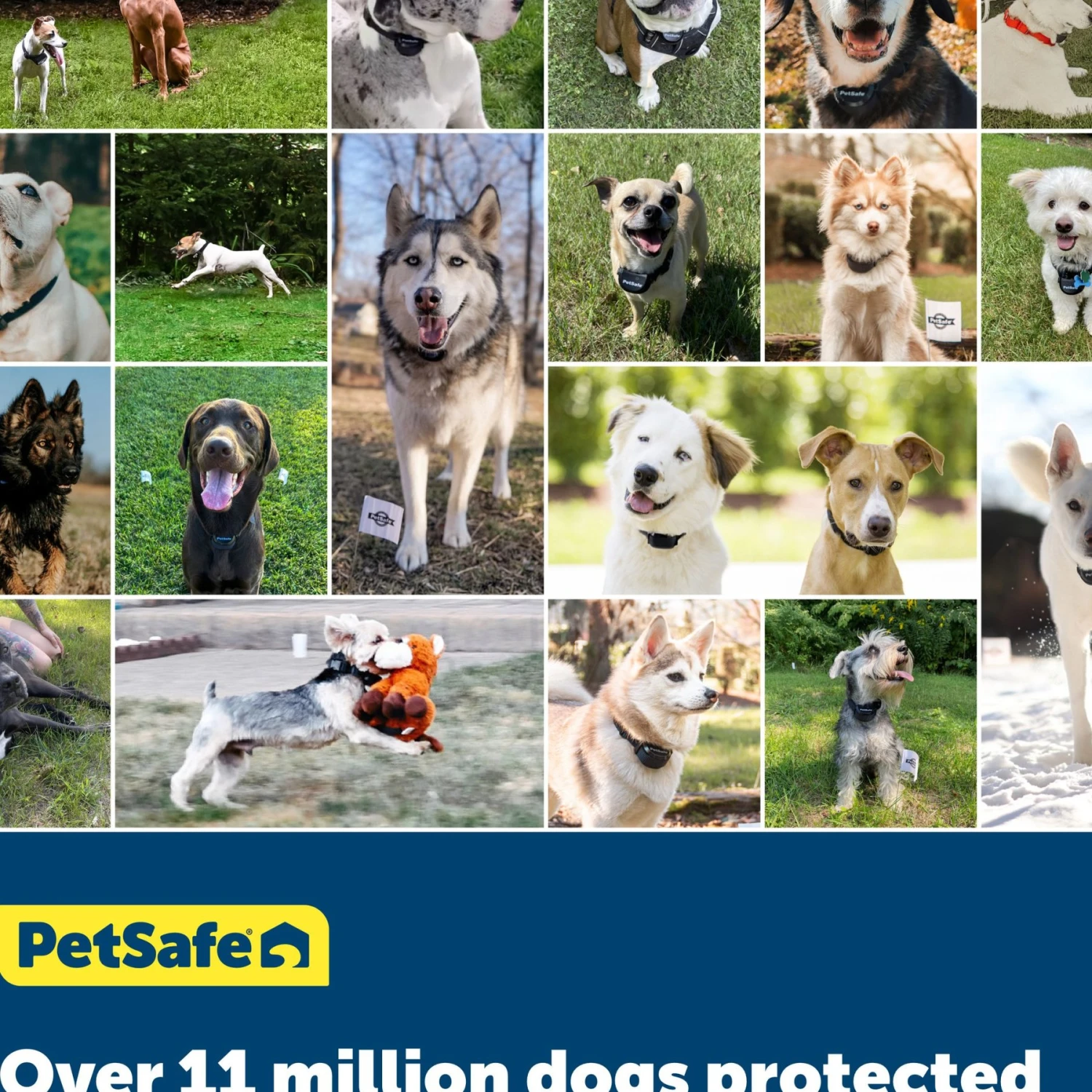 PetSafe YardMax Extra Receiver Collar For In-Ground Fence System 6 PetSafe YardMax Extra Receiver Collar For In-Ground Fence System - Image 6