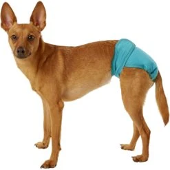 Simple Solution Washable Female Dog Diaper 8 Simple Solution Washable Female Dog Diaper -PetSafe Shop Sale 71153 PT2. AC SS1800 V1558360635