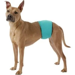 Simple Solution Washable Male Dog Wrap -PetSafe Shop Sale 71170 PT2. AC SS1800 V1558360736