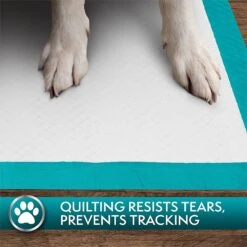 Simple Solution Original Training Pads, 23" X 24" -PetSafe Shop Sale 71191 PT7. AC SS1800 V1567777055