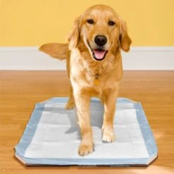 Simple Solution Training Pad Holder -PetSafe Shop Sale 71193 PT3. AC SS1800 V1633077382