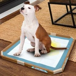 Simple Solution Training Pad Holder -PetSafe Shop Sale 71193 PT6. AC SS1800 V1633075636