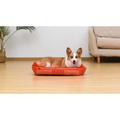Fetch For Pets Friends: Sofa Cuddler Plush Rectagular Dog Bed, Orange -PetSafe Shop Sale 716694 PT3. AC SS1800 V1676752129