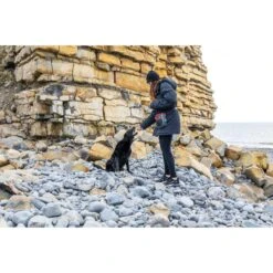 KONG Hiking Bag -PetSafe Shop Sale 721502 PT5. AC SS1800 V1671029481