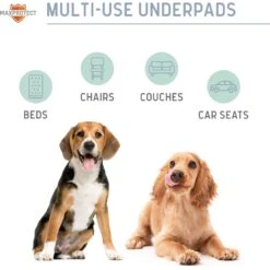 Chew + Heal Max Protect Pawformance Reusable Dog Pee Pads, 34x 36-in -PetSafe Shop Sale 722758 PT6. AC SS1800 V1670969357