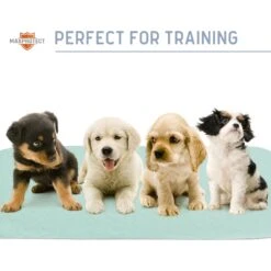 Chew + Heal Max Protect Pawformance Reusable Dog Pee Pads, 34x 36-in -PetSafe Shop Sale 722758 PT7. AC SS1800 V1671031277