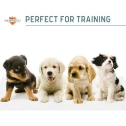 Chew + Heal Max Protect Reusable Dog Pee Pads -PetSafe Shop Sale 722814 PT7. AC SS1800 V1671035263