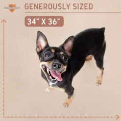 Chew + Heal Max Protect Plaid Reusable Dog Pee Pads, 34-in -PetSafe Shop Sale 722838 PT4. AC SS1800 V1671032955