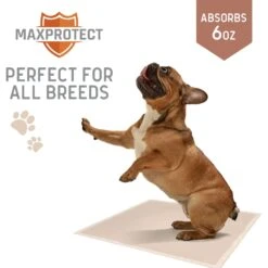 Chew + Heal Max Protect Plaid Reusable Dog Pee Pads, 34-in -PetSafe Shop Sale 722838 PT6. AC SS1800 V1670969359