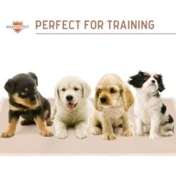 Chew + Heal Max Protect Plaid Reusable Dog Pee Pads, 34-in -PetSafe Shop Sale 722838 PT7. AC SS1800 V1670969361